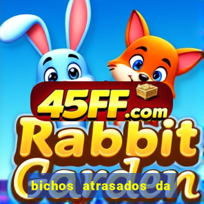 bichos atrasados da loteria federal